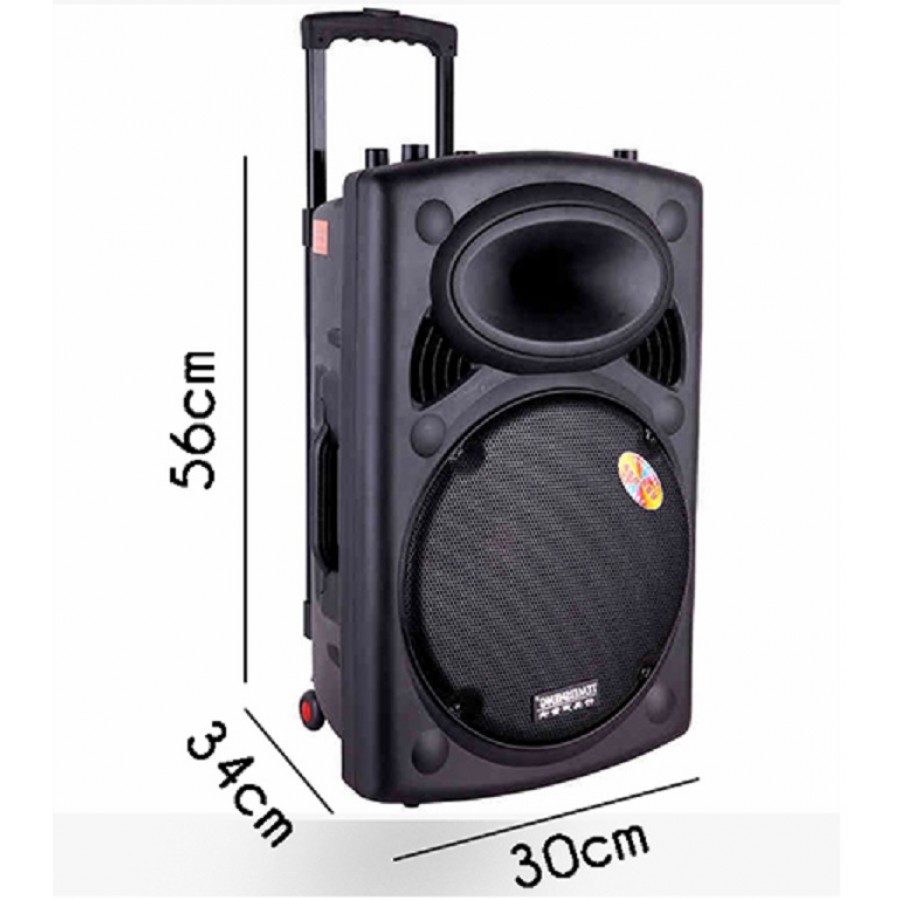 Loa kéo di động Temeisheng DP-297 - Bass 30 - Kèm 2 Micro
